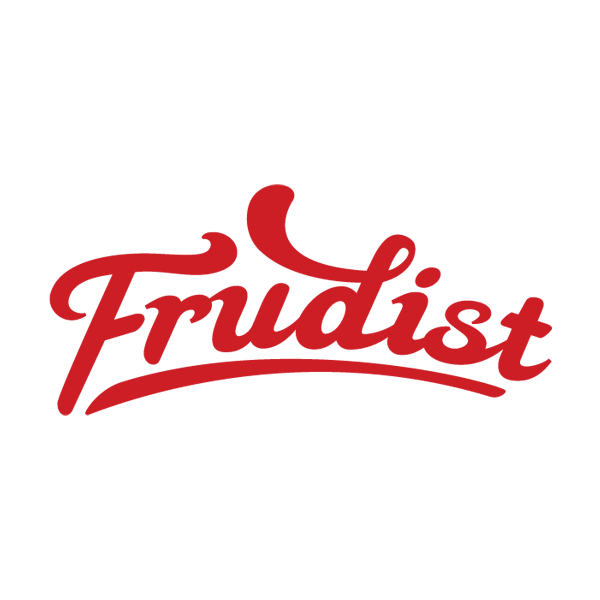 dil-engineering-frudist-logo
